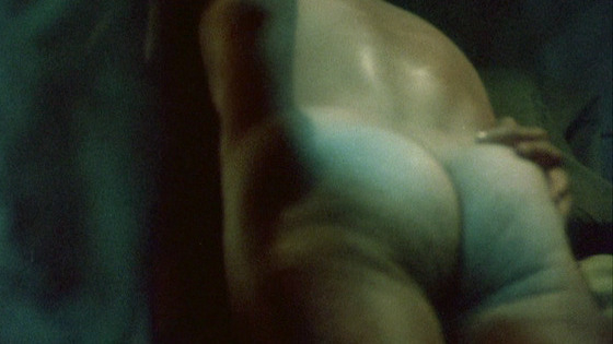 Richard Hatch Naked in Heated Vengeance. Butt, Shirtless, Straight. 29209
