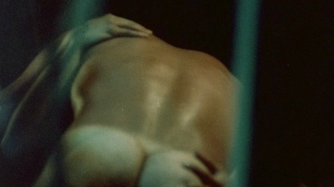 Richard Hatch Nude in Heated Vengeance. Butt, Shirtless, Straight. 29206