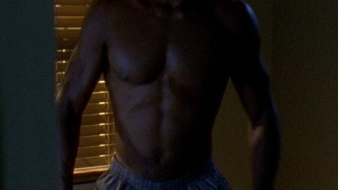 Sexiest Scenes of Colonel Cedric Daniels from The Wire. Shirtless. 40409