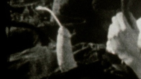 Bernd Daktari Lorenz in Nekromantik 2 (1991) Penis Prosthetic 31507