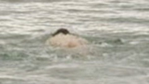 Nudes of Sergeant Francis Troy from Far from the Madding Crowd. Butt, hairy chest, in water. 165408