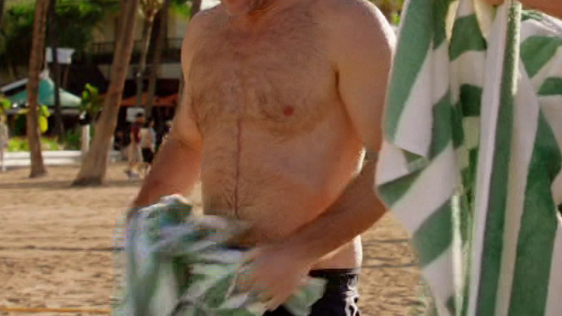 Sexiest Scenes of Danny "Danno" Williams from Hawaii Five-0. Shirtless. 66245
