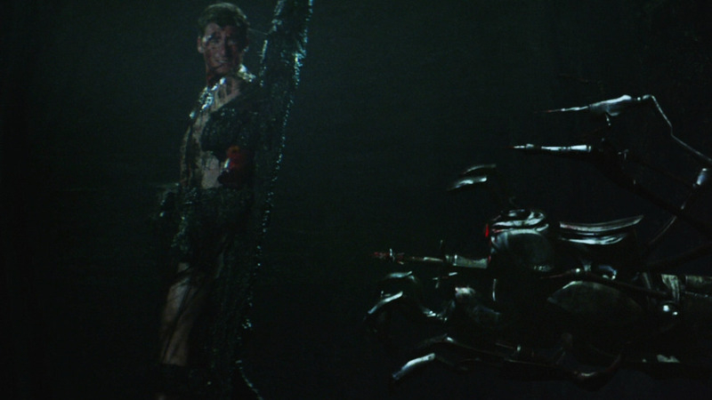 Sexiest Scenes of Seth from Extraterrestrial. Shirtless. 36059