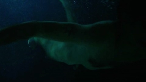 David Dastmalchian in Animals (2014) Penis 41356