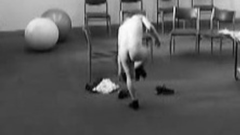 Denis Moschitto in Im Knast (2015) Butt 36447