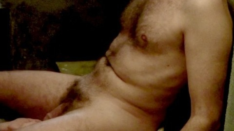Stephan Hersoen in Sexual Chronicles of a French Family (2012) Penis Shirtless Straight 38094