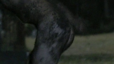 Sean Keenan Nude in Glitch. Butt. 60976