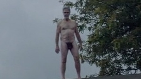 Don Hails Naked in It Follows. Penis. 39085