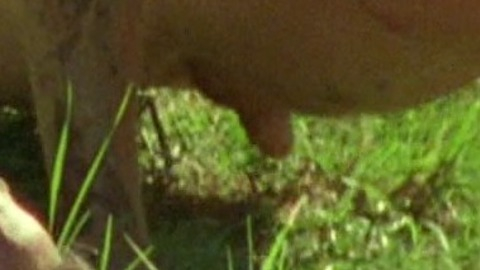 Andrew Glaszek Nude in Leather. Balls, Penis, Shirtless. 42280