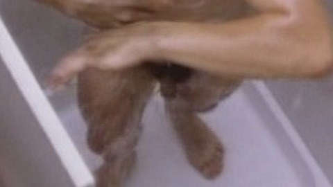 Francis Perrin Nude as Georges Le Roi. Penis, Shirtless. 43106