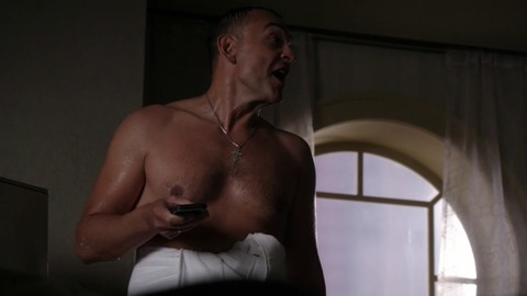 Sean Cullen in The Blacklist (2013-2021) Shirtless 43962