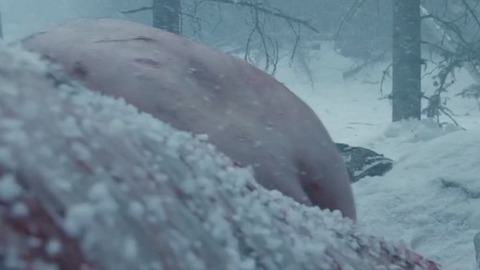 Leonardo DiCaprio in The Revenant (2016) Butt 51060