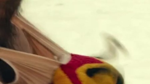 Zac Efron in Dirty Grandpa (2016) Penis Shirtless 52263