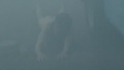 Mathew Baynton Nude in You, Me and the Apocalypse. Butt, Shirtless. 46918