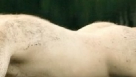 Karl Markovics in Polizeiruf 110 (1971-2016) Butt 47957