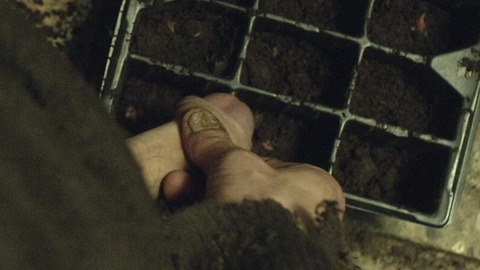 Martin McCann in The Survivalist (2015) Penis 74274