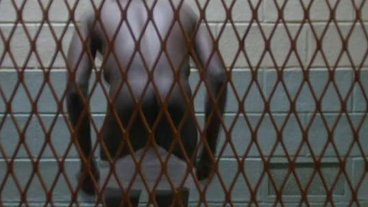 Michael Kenneth Williams Naked as Leonard Pine. Butt, Shirtless. 67647