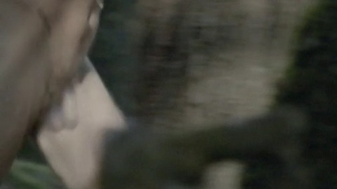 Thomas M. Wright in Top of the Lake (2013-2017) Balls Penis Shirtless 53417