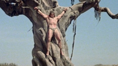 Hottest Arnold Schwarzenegger Scene in Conan the Barbarian. Sexy, Shirtless, Underwear. 51434
