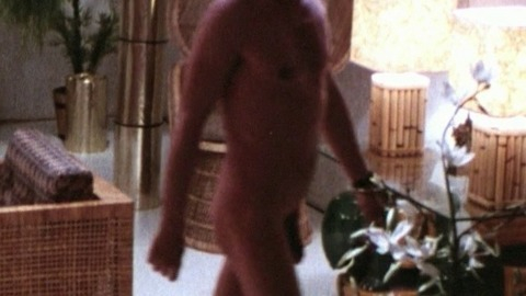 Kurt Meinicke in Sexy Sisters (1977) Penis Shirtless 56561