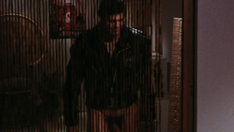 Eric Falk in Sexy Sisters (1977) Penis 56545