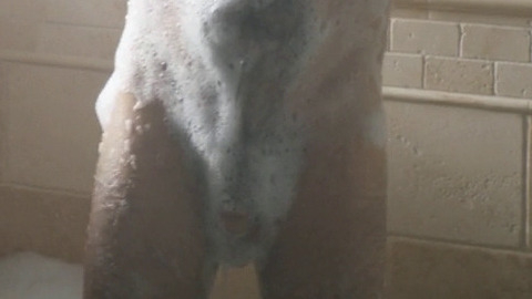 Adam Goldberg Nude in Rebirth. Penis, Shirtless. 56836