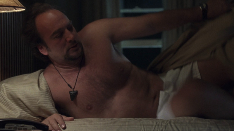 Sexiest Det. Frank Divinci Scenes. Shirtless, Underwear. 56890