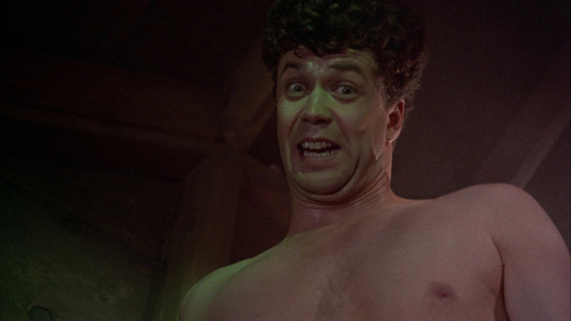 Sexiest Scenes of Duane Bradley from Basket Case 3: The Progeny. Shirtless. 57767