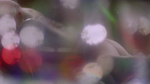 Nudes of Wayne from The Love Witch. Butt. 65940