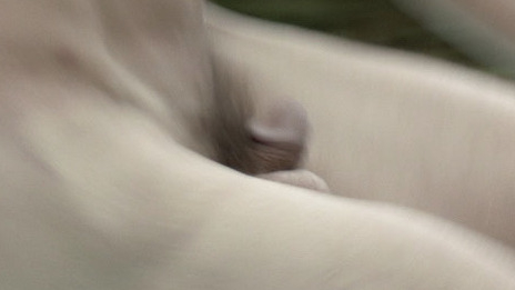 Quarry from Quarry Naked. Balls, Penis, Shirtless. 66521