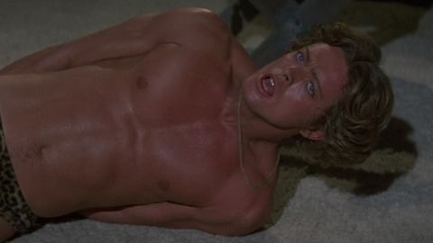 Beyond the Valley of the Dolls's Sexiest Scenes with Michael Blodgett. Shirtless, Underwear. 60228