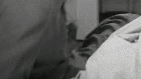 Nudes of Tom Jeffers from The Palm Beach Story. Penis. 60654
