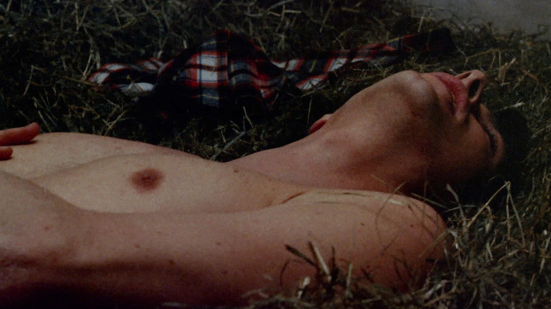Sexiest Nico Wolferstetter Scene in The Devil's Plaything. Sexy, Shirtless. 61309