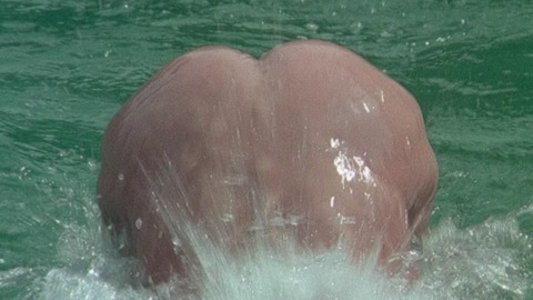 Lajos Balázsovits in Private Vices, Public Virtues (1976) Butt 63031