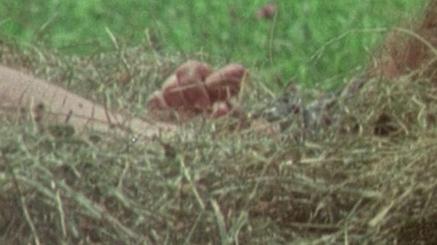 Lajos Balázsovits in Private Vices, Public Virtues (1976) Penis 63029