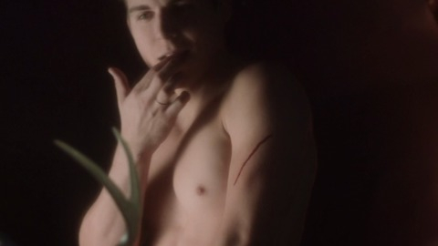 Nolan Gerard Funk in American Romance (2016) Shirtless 64202