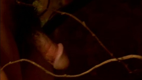 Nudes of Nato from Sagwan. Balls, Penis. 65844