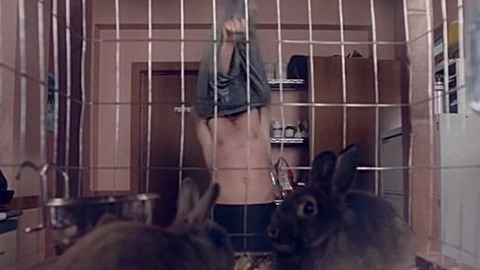 Dustin Milligan in Schitt's Creek (2015-2019) Sexy Shirtless 66032