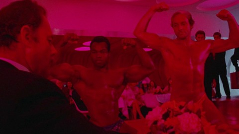 The Magic Christian's Sexiest Scenes with Roy Scammell. Bathing Suit, Shirtless. 67296