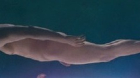 Billy Magnussen Nude in Happy Tears. Penis, Shirtless. 68650