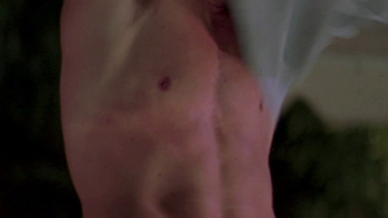 Sexiest Scenes of Will Benson from I Still Know What You Did Last Summer. Shirtless. 71093