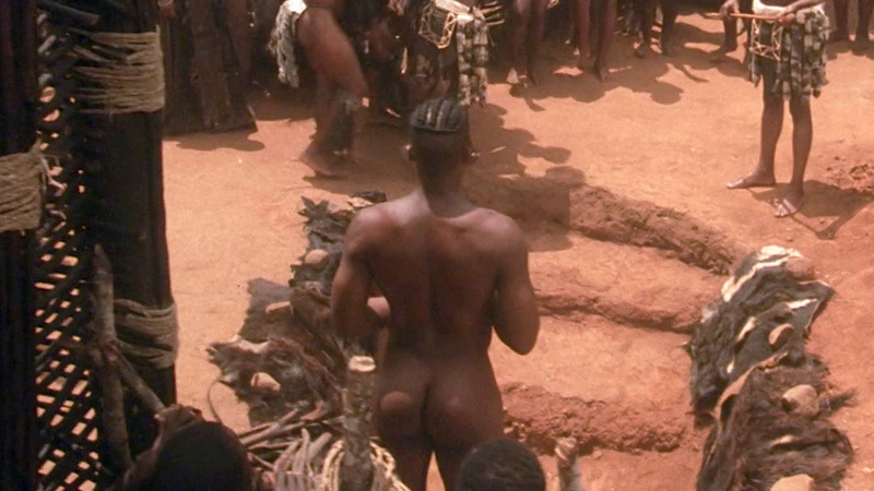 Nudes of Senzagakona from Shaka Zulu. Butt. 71502