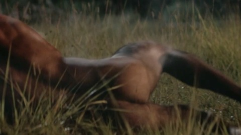 Joshua Brennan Nude in Skinford. Butt. 73102