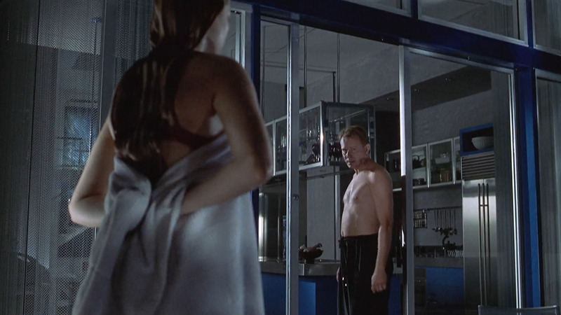 The Glass House's Sexiest Scenes with Stellan Skarsgård. Shirtless. 80670