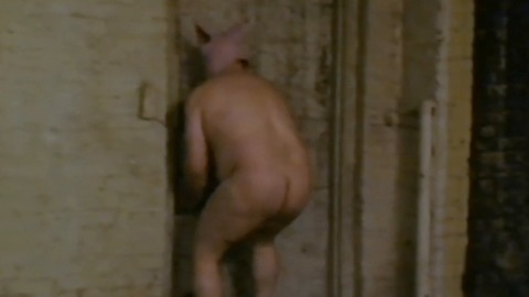 Nudes of Joseph D Shelton from Illuminatus. Butt. 81246