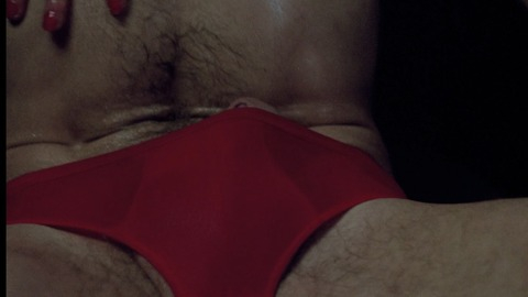 Hugo Metsers in Frank & Eva (1973) Bulge Penis Underwear 82548