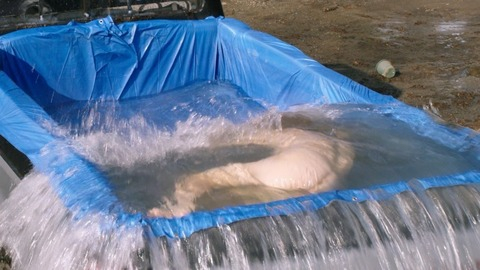 David Spade in Father of the Year (2018) Body Double Butt 83935