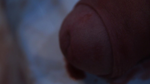 Roberto Scorza Naked in American Guinea Pig: Sacrifice. Penis. 85699