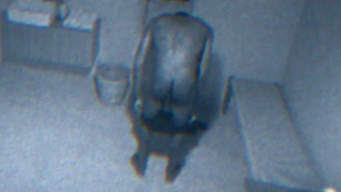 Tom Hodgson from Channel Zero Naked. Butt, Underwear, barefoot, computer. 87563
