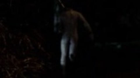 Tom Gronau Nude as Leo. Butt, distant, foreign. 88922